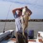 John Sutherland Photo 41