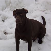 James Schultz Photo 11