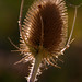 Heather Briscoe Photo 29