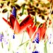 Charles Wiles Photo 14