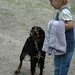 Sadie Harper Photo 1