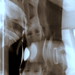 Joy Jamison Photo 18