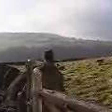 Douglas Graham Photo 9