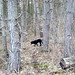 Bonnie Wood Photo 16