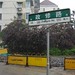 Xiu Zheng Photo 28