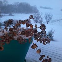 Catherine Burkhart Photo 12