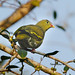 Bill Green Photo 46