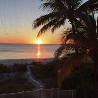 Donna Mccarthy Photo 37