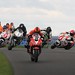 Steve Mcguinness Photo 15