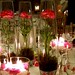 Susan Avery Photo 39