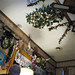 John Kitch Photo 9