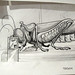 Adam Watson Photo 26