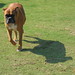 Lenora Bruno Photo 7