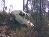 Nelson Silva Photo 42