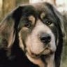Nancy Sprague Photo 38