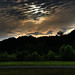 Virginia Wood Photo 18