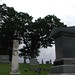 Laurel Guthrie Photo 15