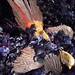 Janet Borden Photo 15