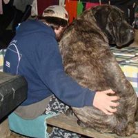 Stephen Hutchins Photo 31