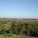 Sharon Israel Photo 10