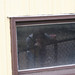 Sara Minot Photo 1