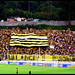 Gerardo Correa Photo 23