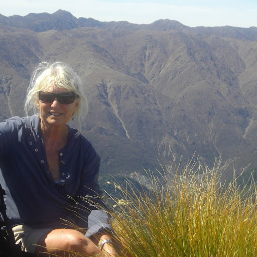 Sue Lindsay Photo 26