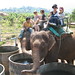 Mei Cheng Photo 10