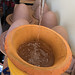 Stephen Carpenter Photo 14