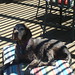 Cathy Olson Photo 15