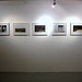 Catherine Vann Photo 14