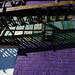 Opal Alley Photo 8