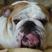 Jack Conner Photo 6