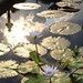 Barbara Woodruff Photo 17