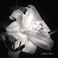 Frances Hewitt Photo 6