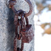 Rusty Hale Photo 17