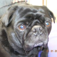 Sherry Plummer Photo 6