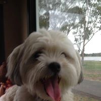 Sandra Woodham Photo 6