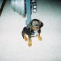 Sherri Rowe Photo 25