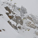 Julian Carr Photo 8