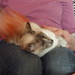 Misty Combs Photo 14