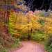Robert Hock Photo 6