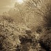 Neil Beck Photo 18