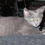 Peggy Middleton Photo 22