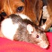 Bonnie Barney Photo 8