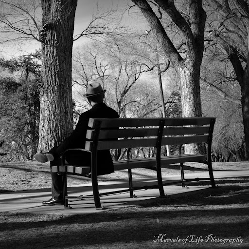 Ethan Harris Photo 26