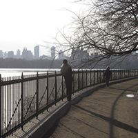 David Constantin Photo 14