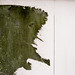 Jacob Yang Photo 10