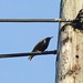 Kenneth Wire Photo 8