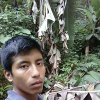 Gerardo Ventura Photo 6